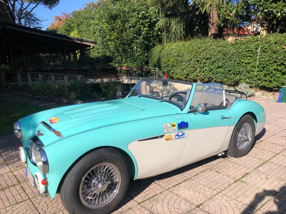 Image 4/30 of Austin-Healey 3000 Mk I (BT7) (1961)