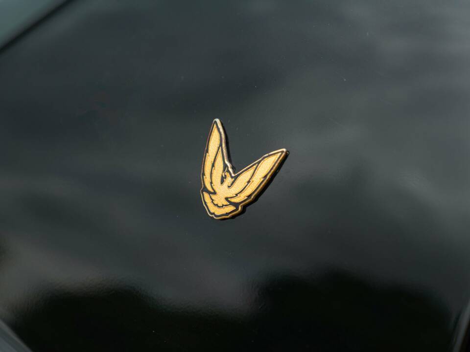 Bild 23/50 von Pontiac Firebird TransAm (1989)