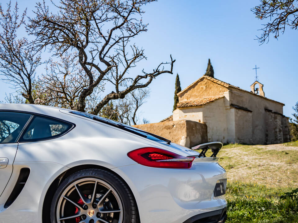 Immagine 46/50 di Porsche Cayman S (2013)