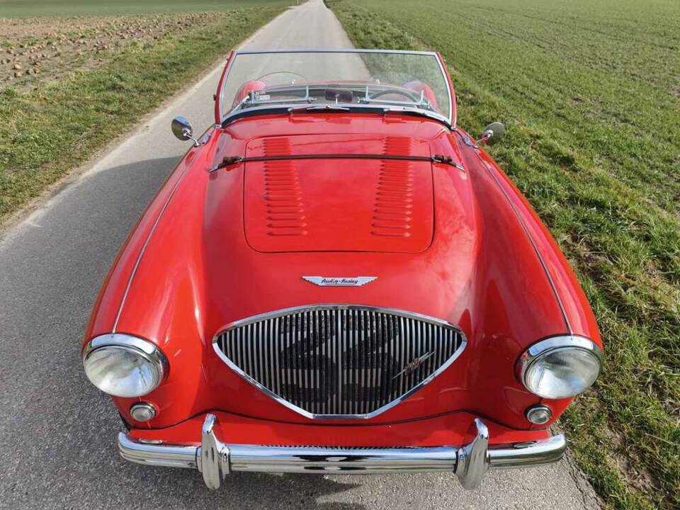 Imagen 19/24 de Austin-Healey 100/4 (BN1) (1955)