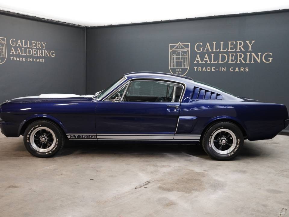 Immagine 2/50 di Ford Shelby GT 350 (1965)
