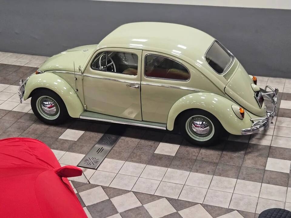 Image 6/15 of Volkswagen Beetle 1200 Standard "Dickholmer" (1963)