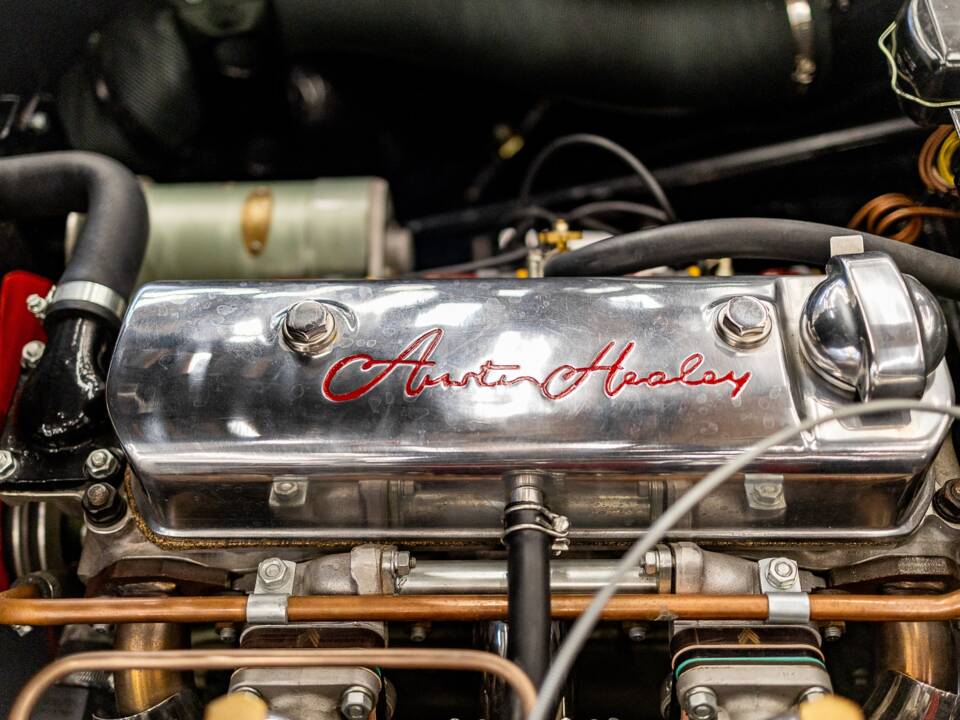 Bild 32/50 von Austin-Healey 100/4 (BN2) (1956)