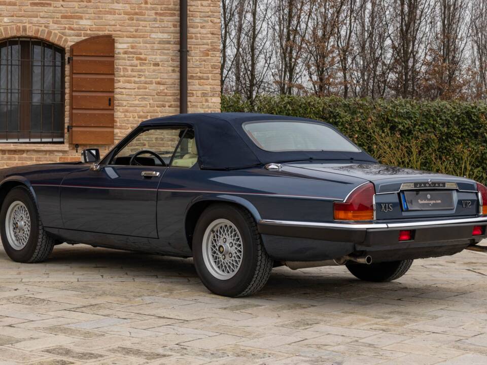 Bild 7/50 von Jaguar XJS 5.3 V12 (1990)