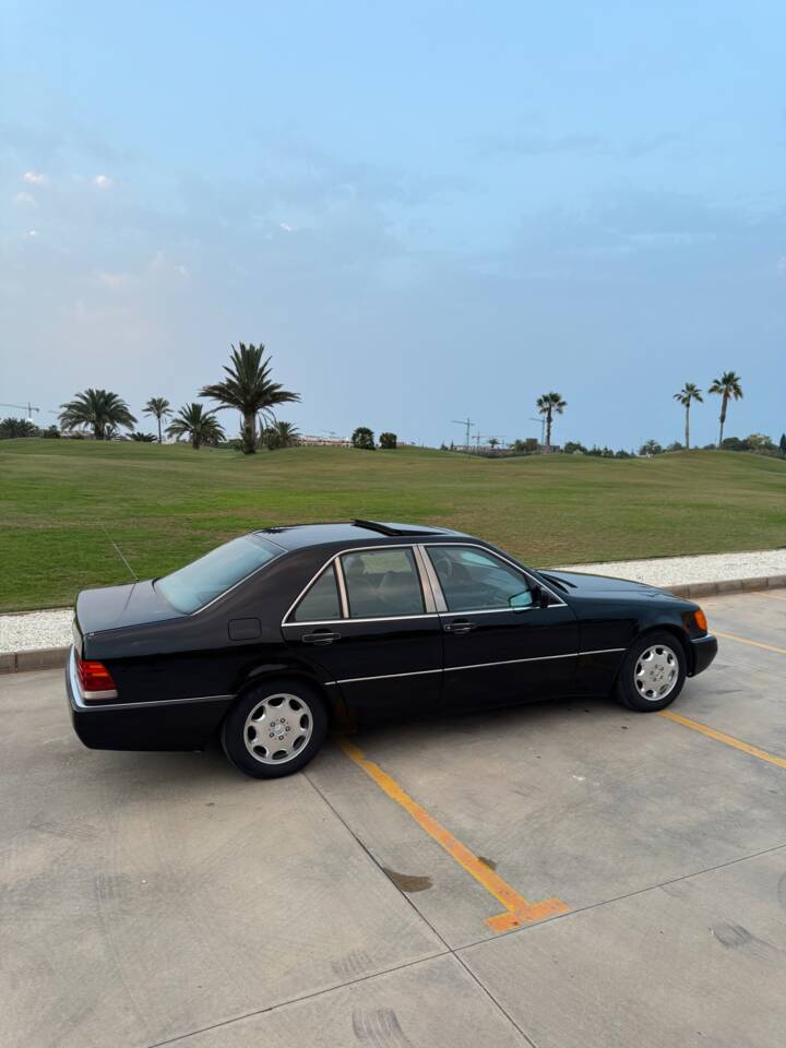 Bild 12/37 von Mercedes-Benz S 320 (1994)