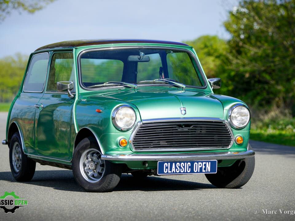 Bild 15/43 von Mini 1000 (1976)