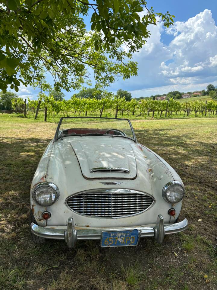 Bild 2/19 von Austin-Healey 3000 Mk I (BN7) (1960)