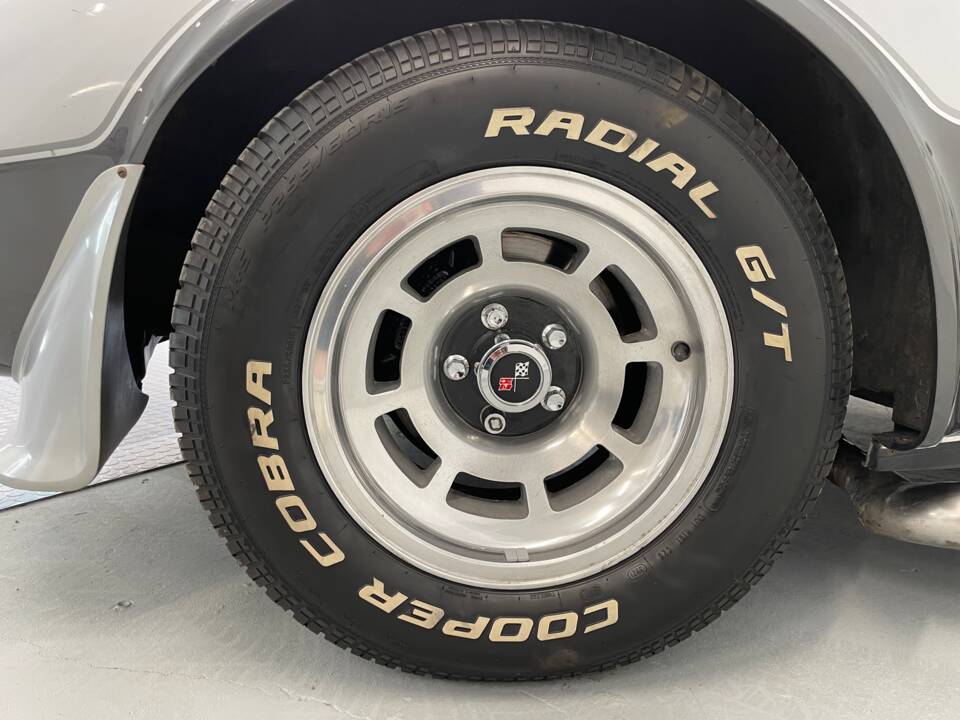 Bild 34/40 von Chevrolet Corvette 25th Anniversary (1978)