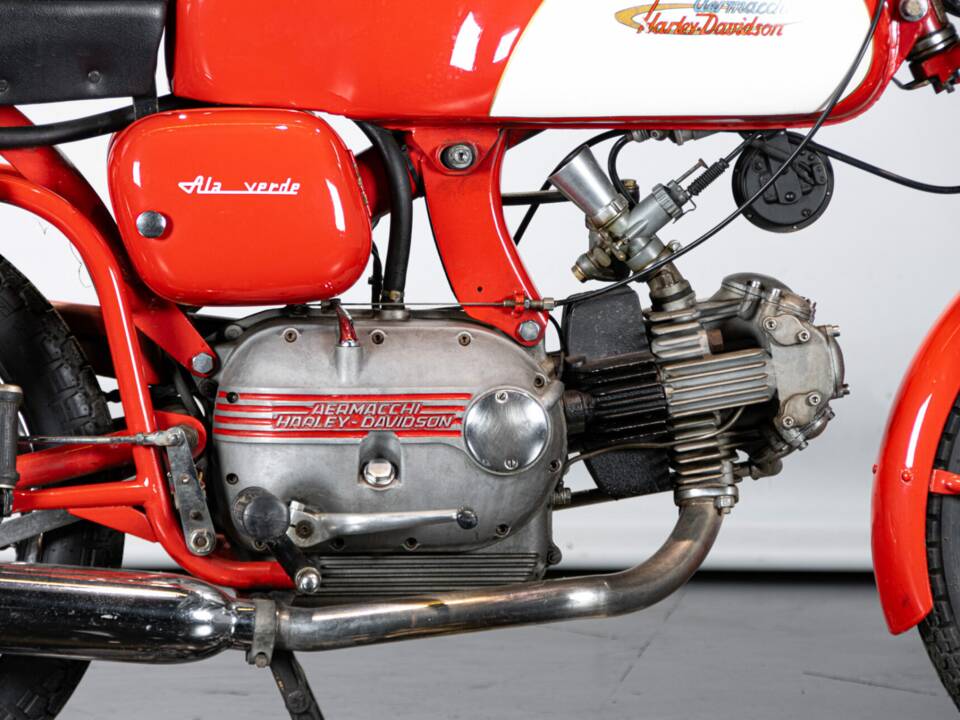 Immagine 18/50 di Aermacchi Ala Verde (1964)