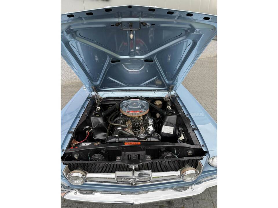 Immagine 43/50 di Ford Mustang 289 (1966)