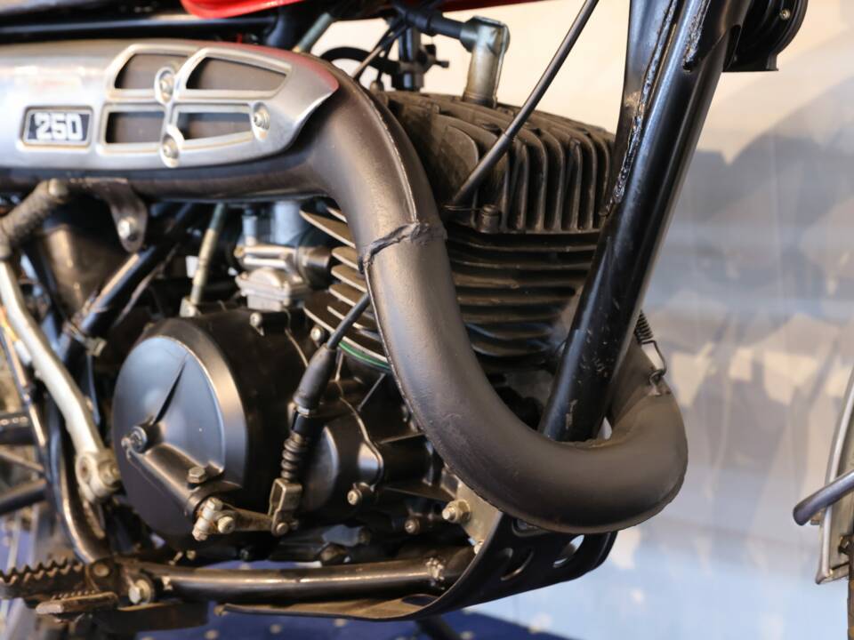 Immagine 12/23 di Suzuki TS 250 (1900)