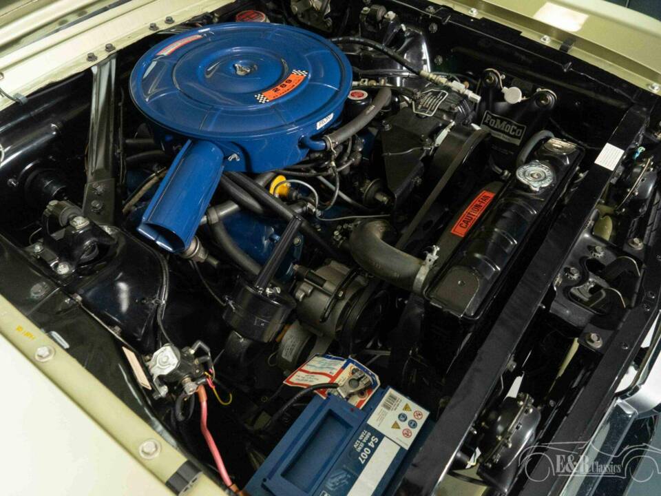 Image 18/19 of Ford Mustang GT (1966)