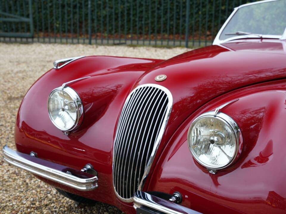 Bild 16/50 von Jaguar XK 120 OTS (Alu) (1949)