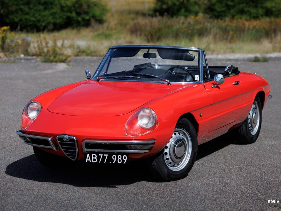 Afbeelding 3/37 van Alfa Romeo 1600 Spider Duetto (1966)