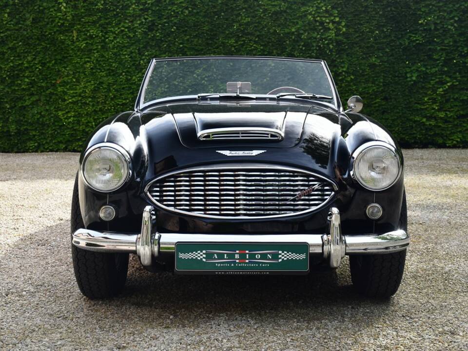 Imagen 5/25 de Austin-Healey 3000 Mk I (BT7) (1960)