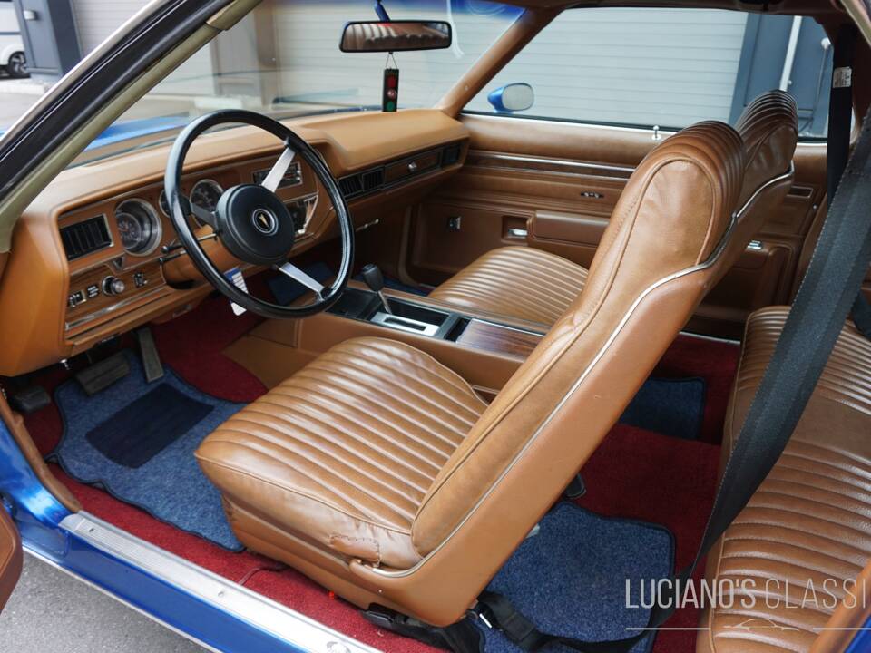 Afbeelding 35/58 van Pontiac GTO (1973)