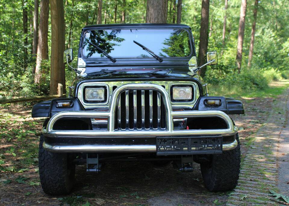 Bild 3/8 von Jeep Wrangler 2.5L (1992)