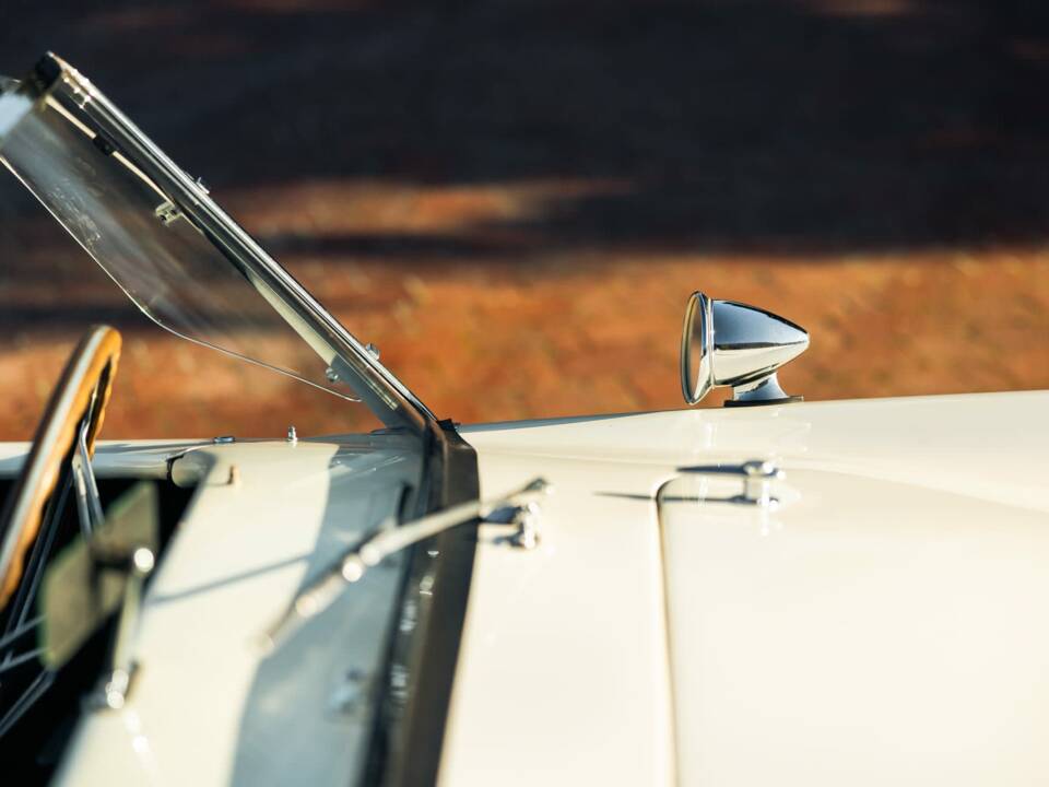 Afbeelding 41/49 van Shelby Cobra 289 (1964)