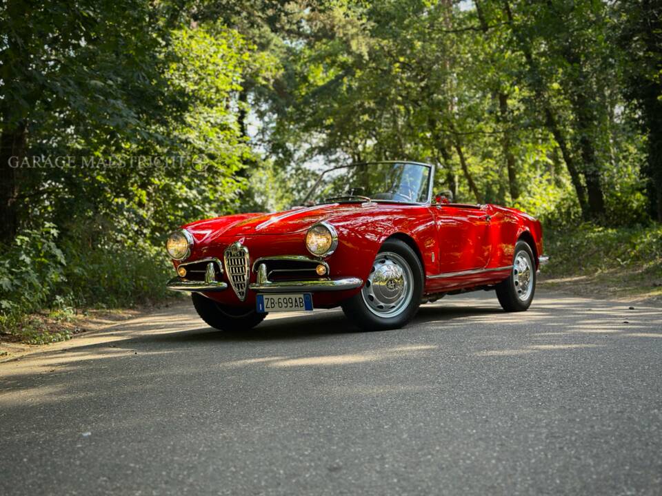 Afbeelding 1/100 van Alfa Romeo Giulietta Spider (1957)