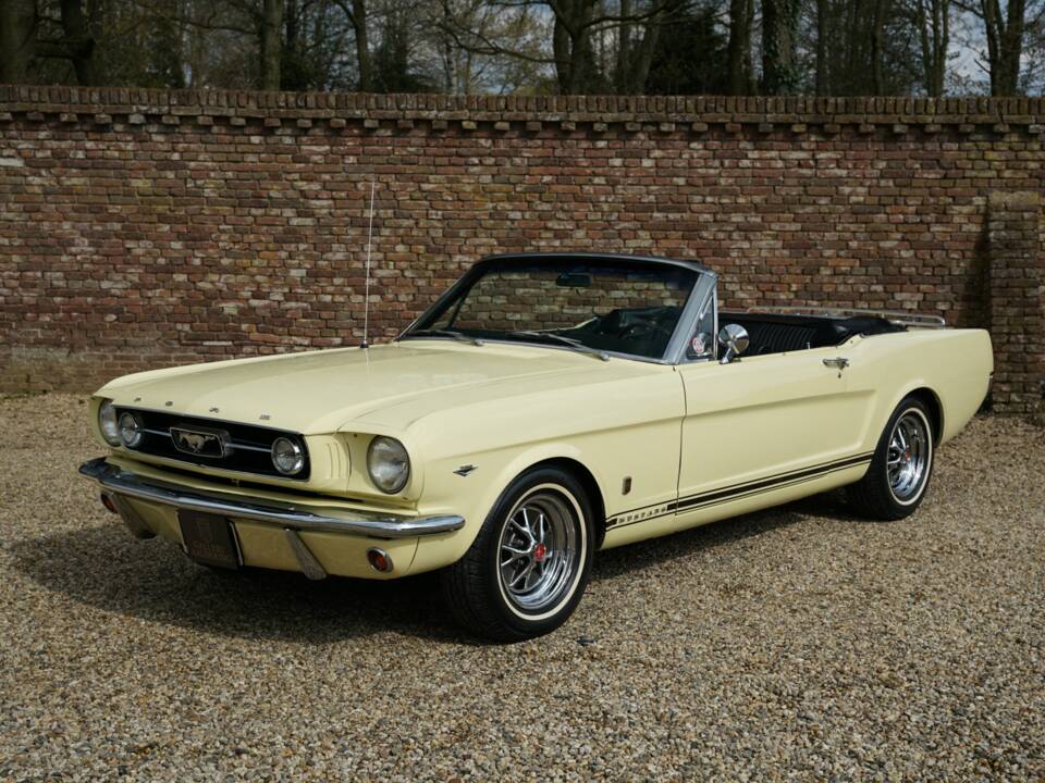 Immagine 1/50 di Ford Mustang 289 (1966)