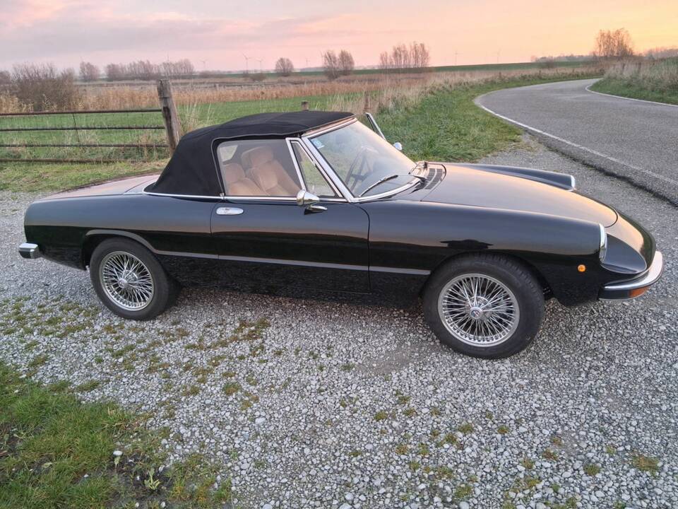 Bild 4/8 von Alfa Romeo Spider 1600 Junior (1975)