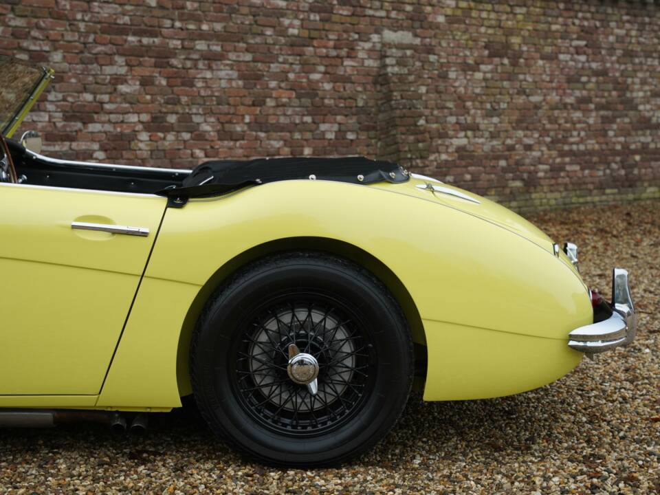 Bild 19/50 von Austin-Healey 3000 Mk I (BN7) (1960)