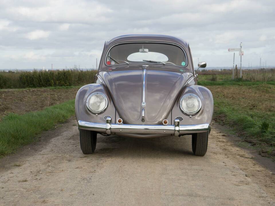 Image 77/79 of Volkswagen Beetle 1200 Export &quot;Oval&quot; (1954)