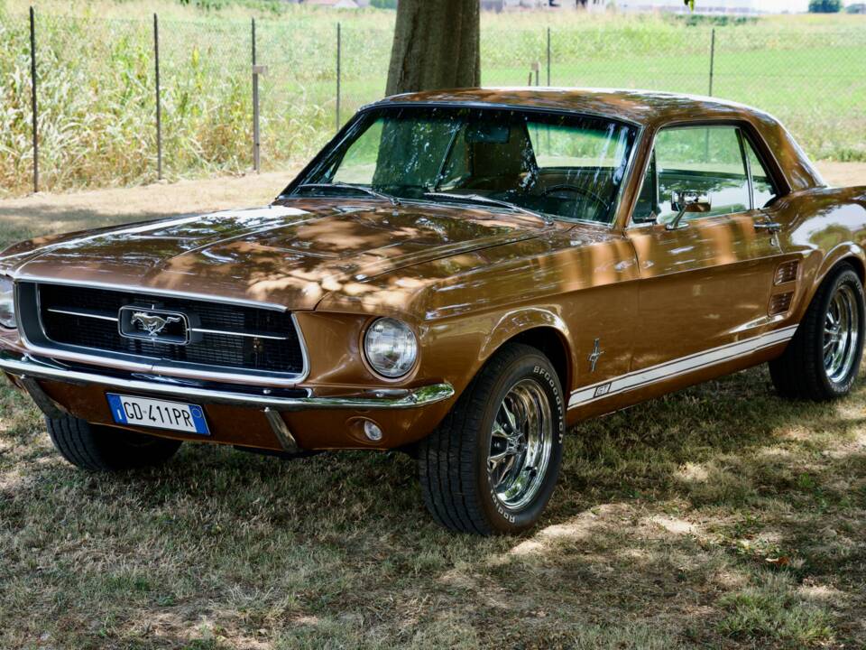 Afbeelding 45/58 van Ford Mustang 289 (1967)