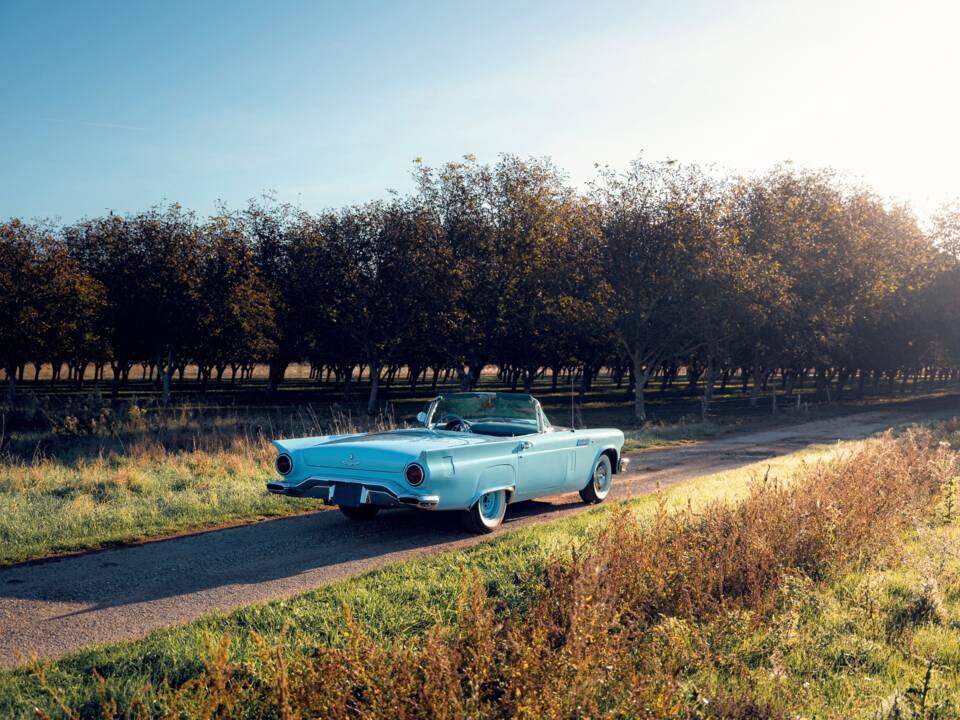 Bild 31/59 von Ford Thunderbird (1957)