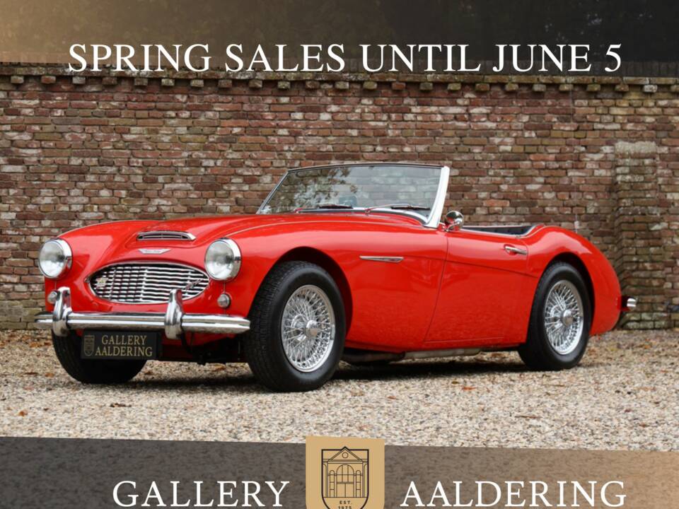 Image 1/50 de Austin-Healey 100/6 (BN4) (1959)