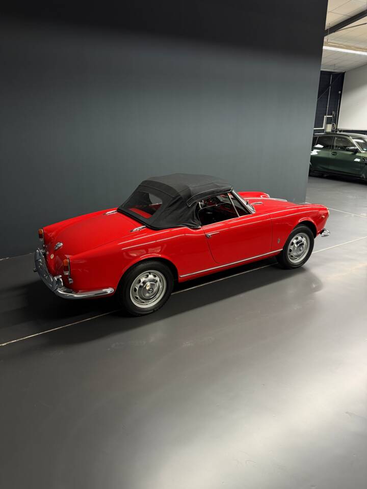 Bild 8/15 von Alfa Romeo Giulietta Spider Veloce (1961)