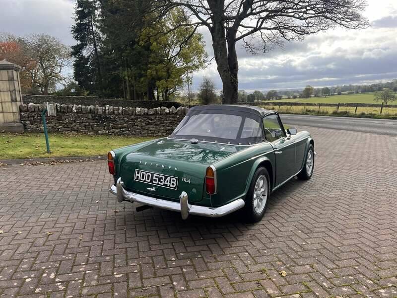 Bild 31/45 von Triumph TR 4 (1964)