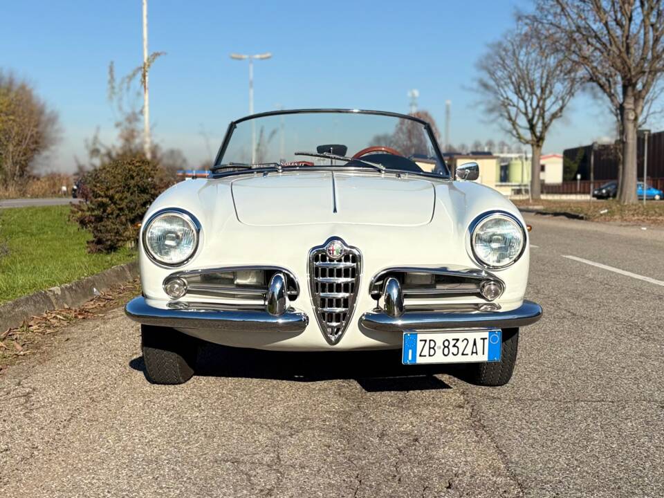 Bild 2/28 von Alfa Romeo Giulietta Spider (1961)