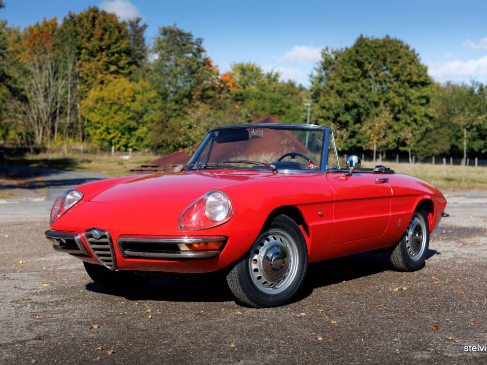 Afbeelding 2/50 van Alfa Romeo 1600 Spider Duetto (1967)