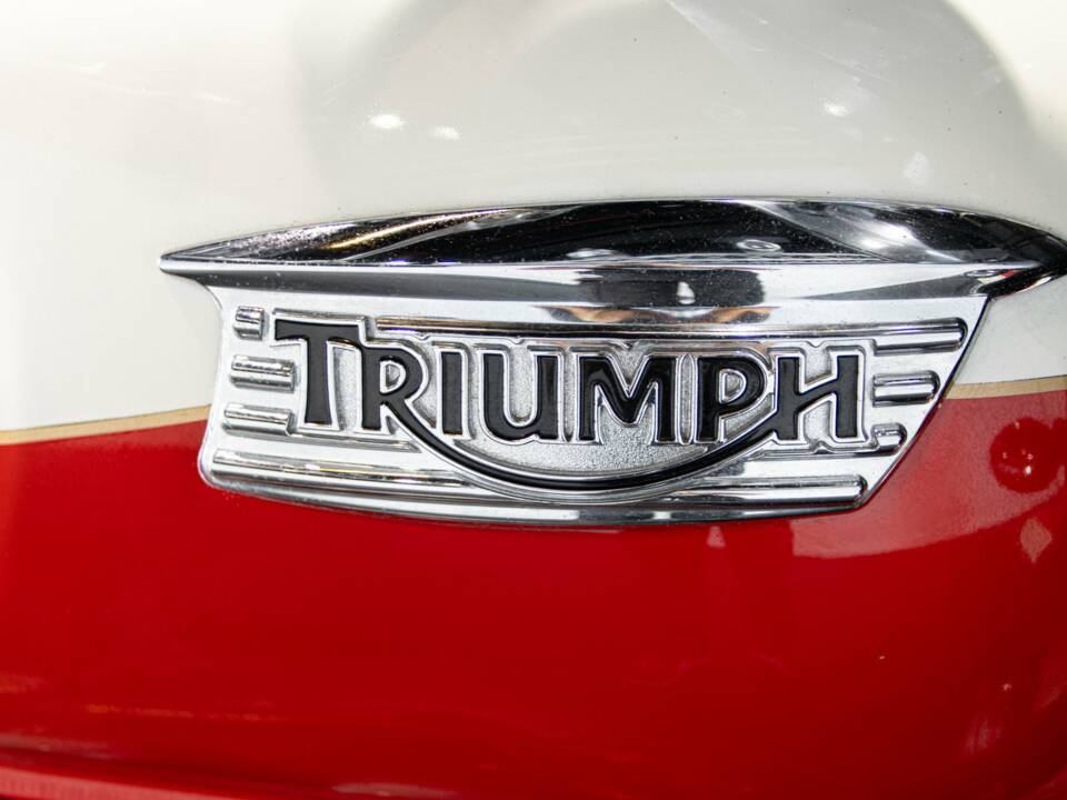 Image 46/50 of Triumph DUMMY (2014)