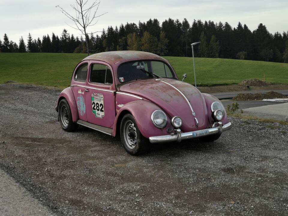 Bild 25/43 von Volkswagen Käfer 1200 Export &quot;Ovali&quot; (1956)