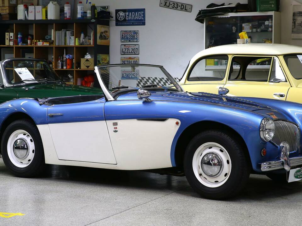 Immagine 5/28 di Austin-Healey 100/4 (BN1) (1955)