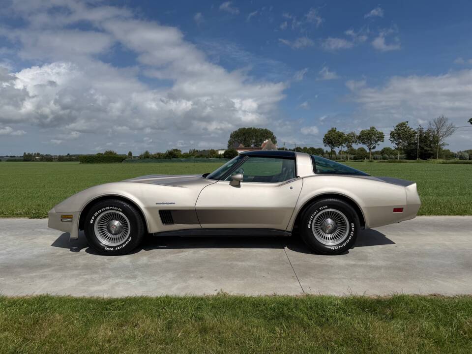 Afbeelding 2/50 van Chevrolet Corvette Collector Edition (1982)