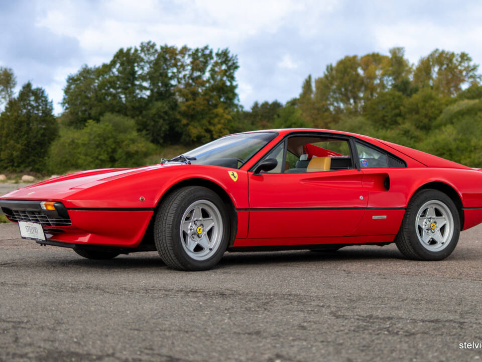 Image 13/65 of Ferrari 308 GTB (1978)