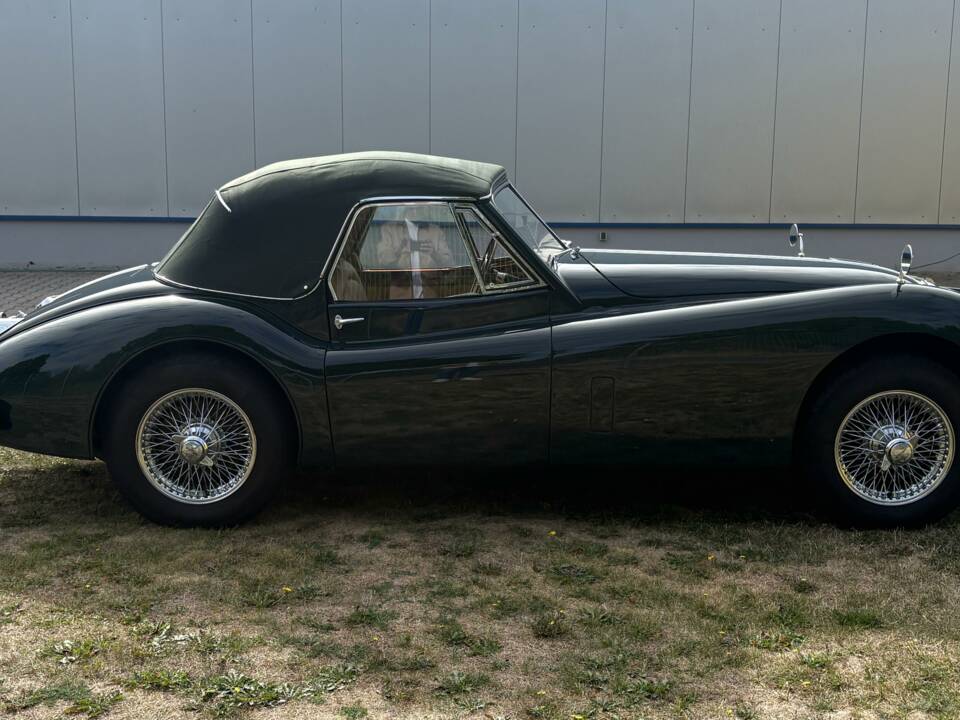 Immagine 5/24 di Jaguar XK 140 SE DHC (1955)