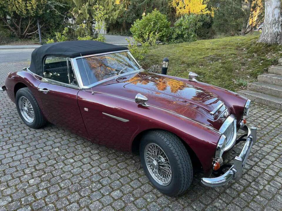 Bild 1/8 von Austin-Healey 3000 Mk III (BJ8) (1967)