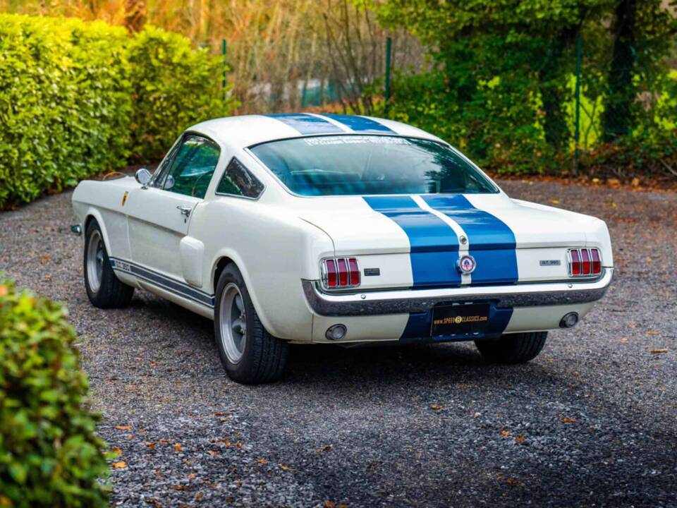 Image 10/27 of Ford Shelby GT 350 (1966)