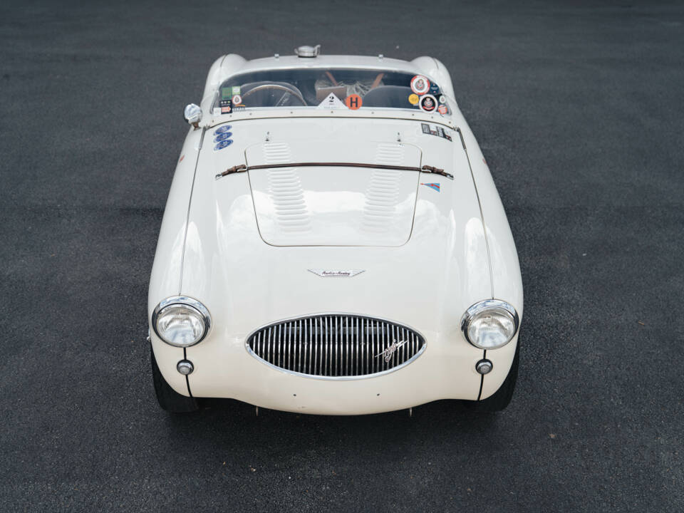 Image 13/50 of Austin-Healey 100 S (1955)