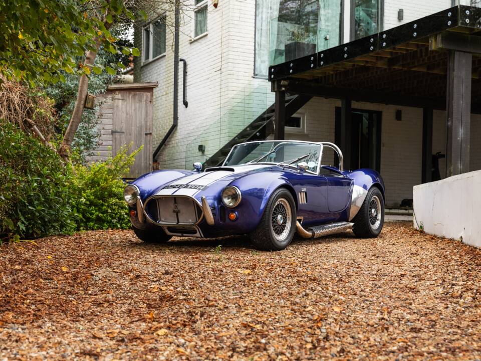 Bild 26/50 von AC Cobra 289 (1997)