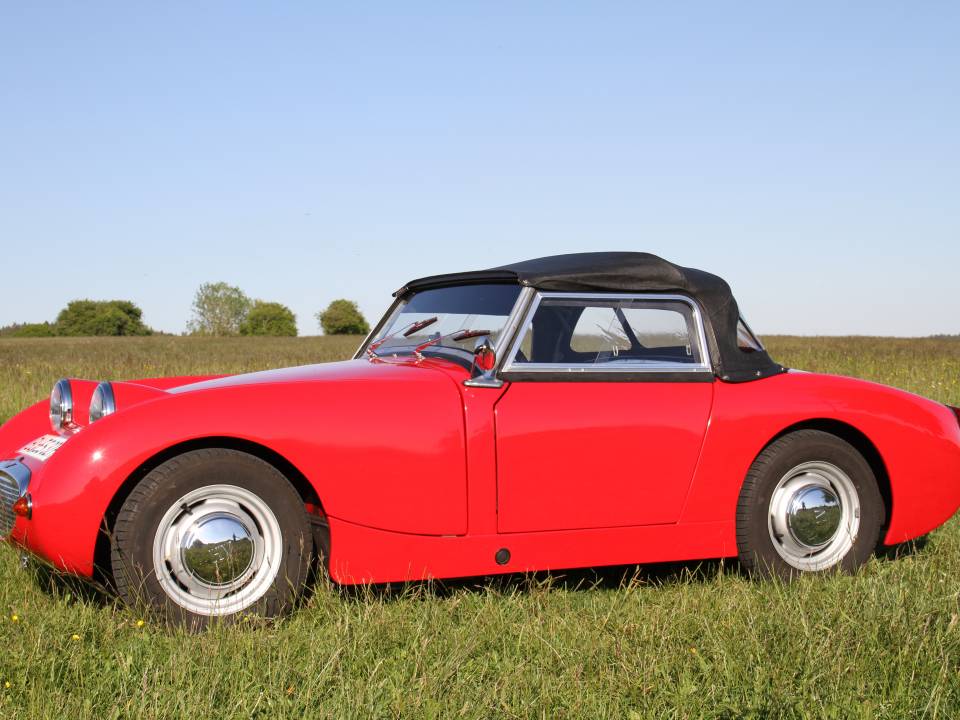 Immagine 5/12 di Austin-Healey Sprite Mk I (1960)