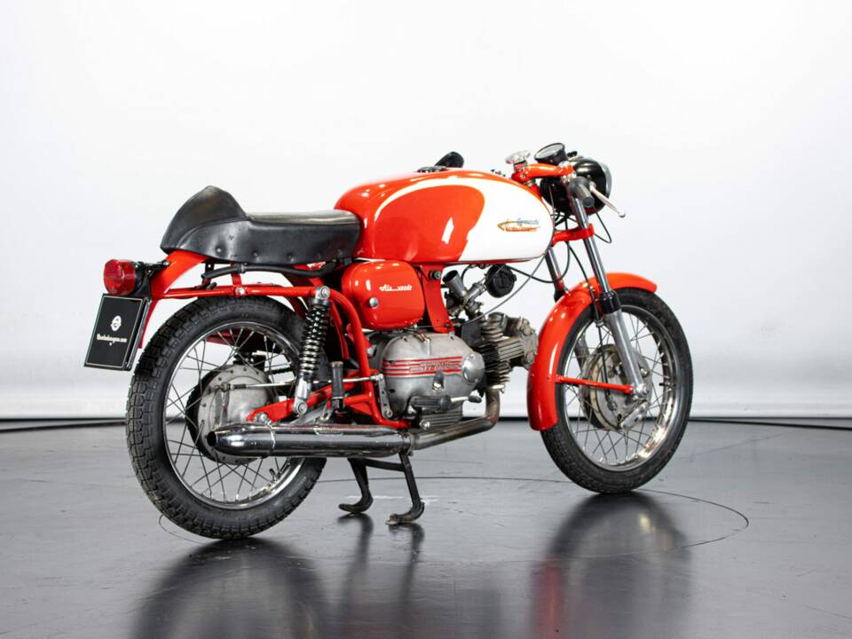 Immagine 4/50 di Aermacchi Ala Verde (1964)