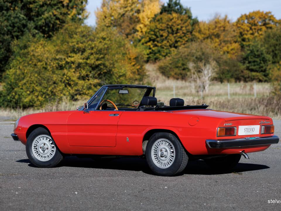 Image 10/43 of Alfa Romeo Spider Veloce 2000 (1976)