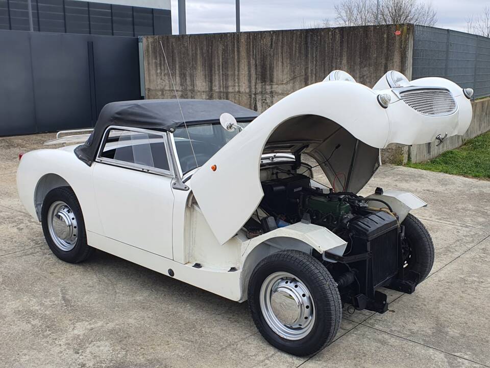 Image 29/30 of Austin-Healey Sprite Mk I (1961)