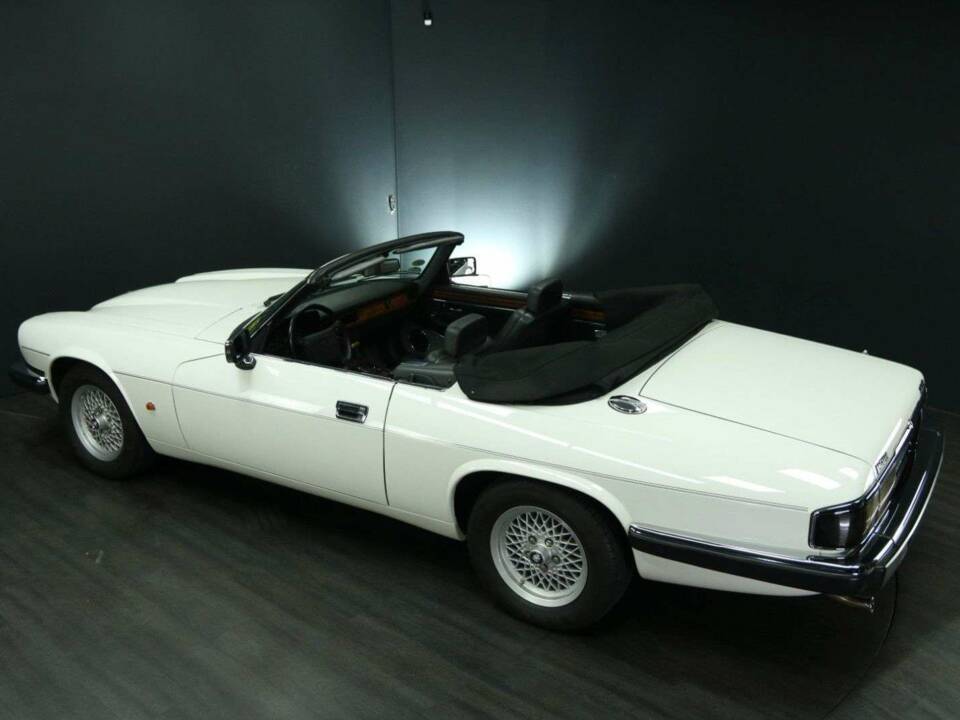 Image 35/50 de Jaguar XJS 5.3 V12 (1992)