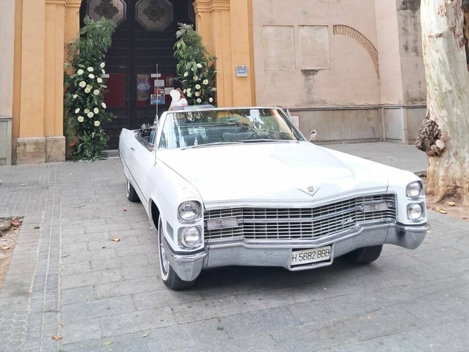 Bild 4/8 von Cadillac DeVille Convertible (1966)